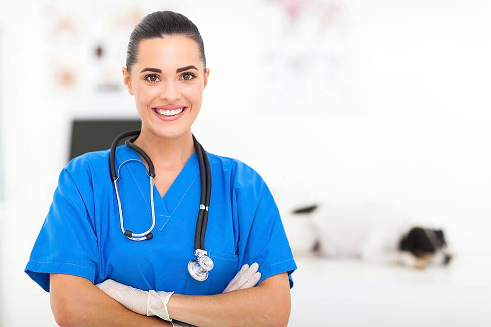 Common College Requirements for Aspiring CNAs